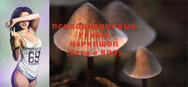 СК Алексин