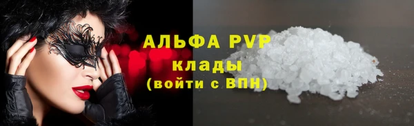 гидра Абаза