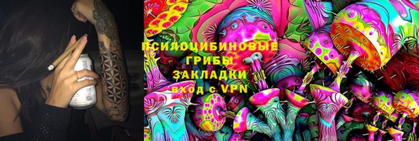 гидра Абаза