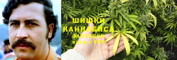 СК Алексин
