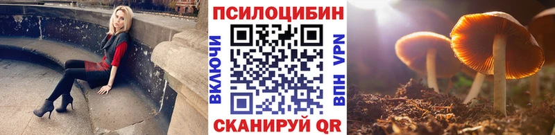цена   Кострома  кракен ССЫЛКА  Псилоцибиновые грибы Cubensis 